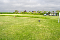 NSC07961